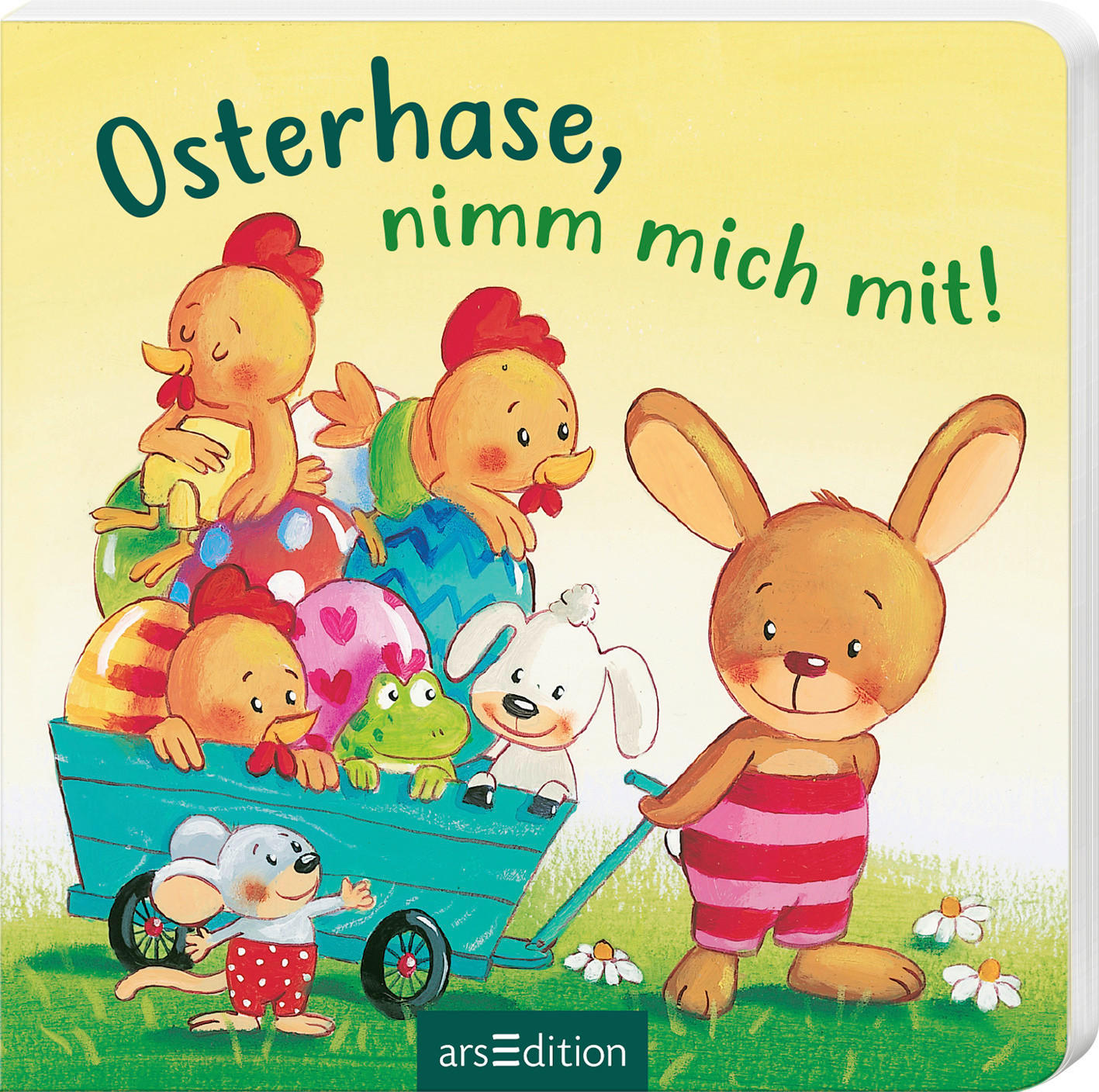 BUCH  - Multicolor, Basics, Papier (16/16/1cm)