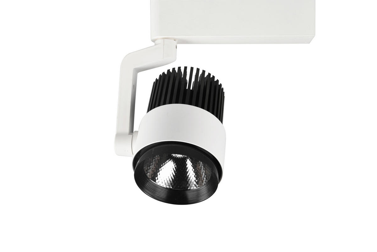 DECKENLEUCHTE 15 W     - Weiß, Basics, Metall (9/23/22,3cm) - Trio Leuchten