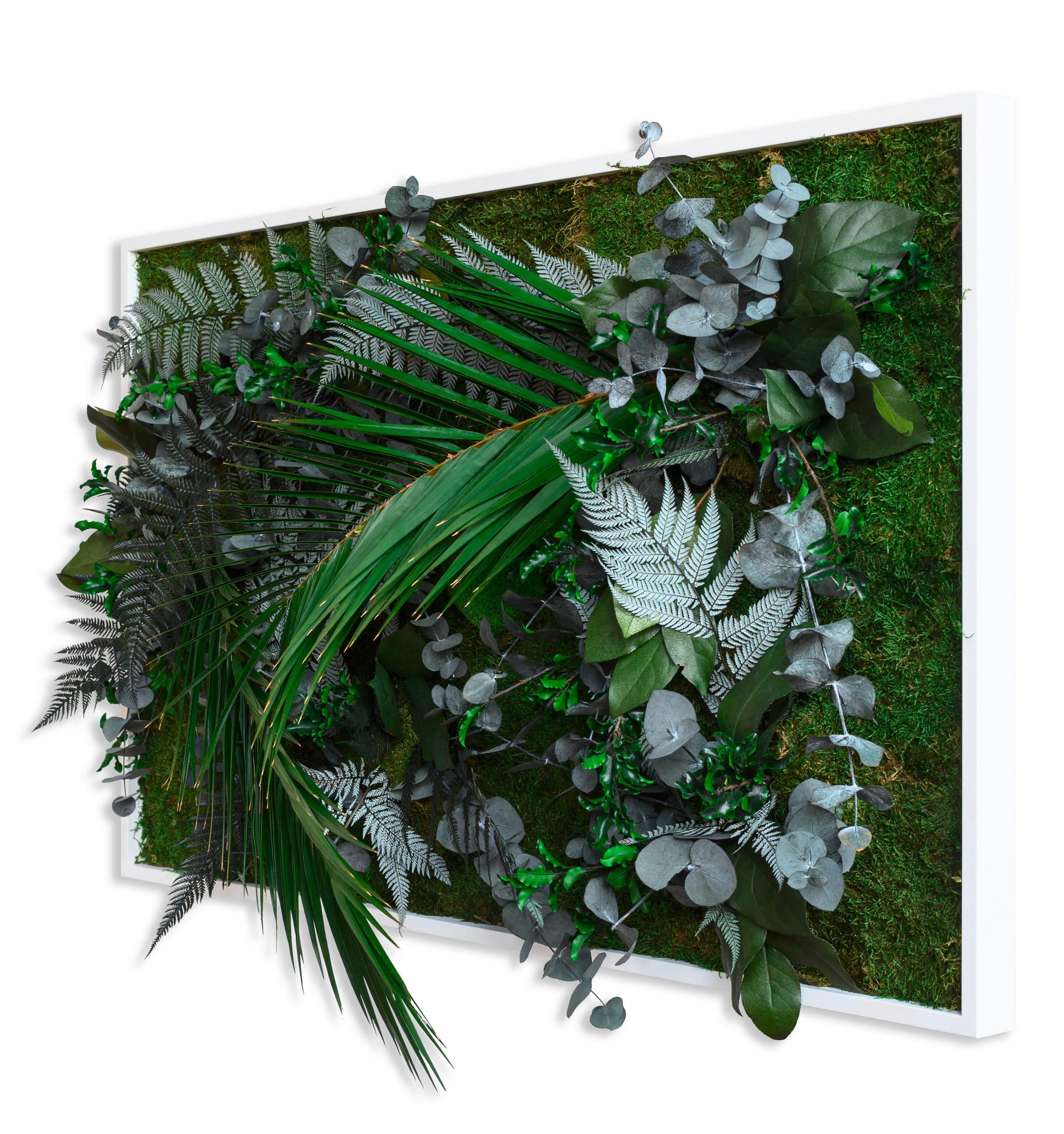 MOOSBILD Stylegreen  - Weiß/Grün, Basics, Naturmaterialien/Holz (100/60/18-22cm)