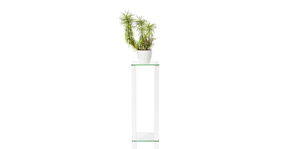 BLUMENTISCH Glas, Holzwerkstoff  - Klar/Weiß, Design, Glas/Holzwerkstoff (25/25/80cm) - Carryhome