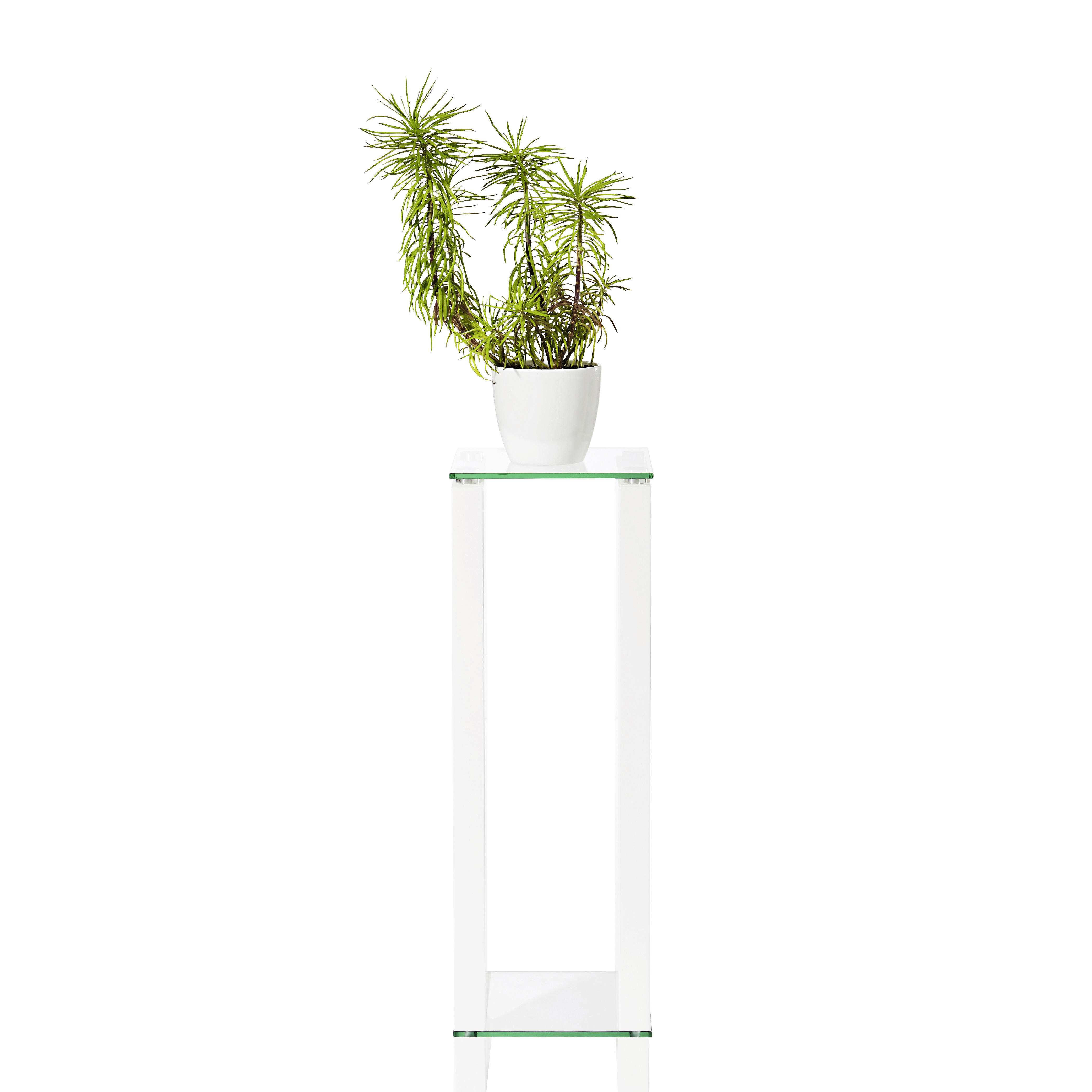 BLUMENTISCH Glas, Holzwerkstoff  - Klar/Weiß, Design, Glas/Holzwerkstoff (25/25/80cm) - Carryhome