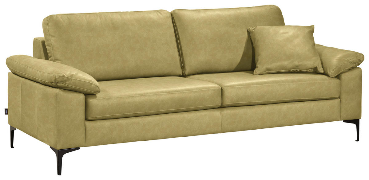 2,5-SITZER  in Echtleder Hellgrün   - Schwarz/Hellgrün, Design, Leder/Metall (204/83/97cm) - Schöner Wohnen