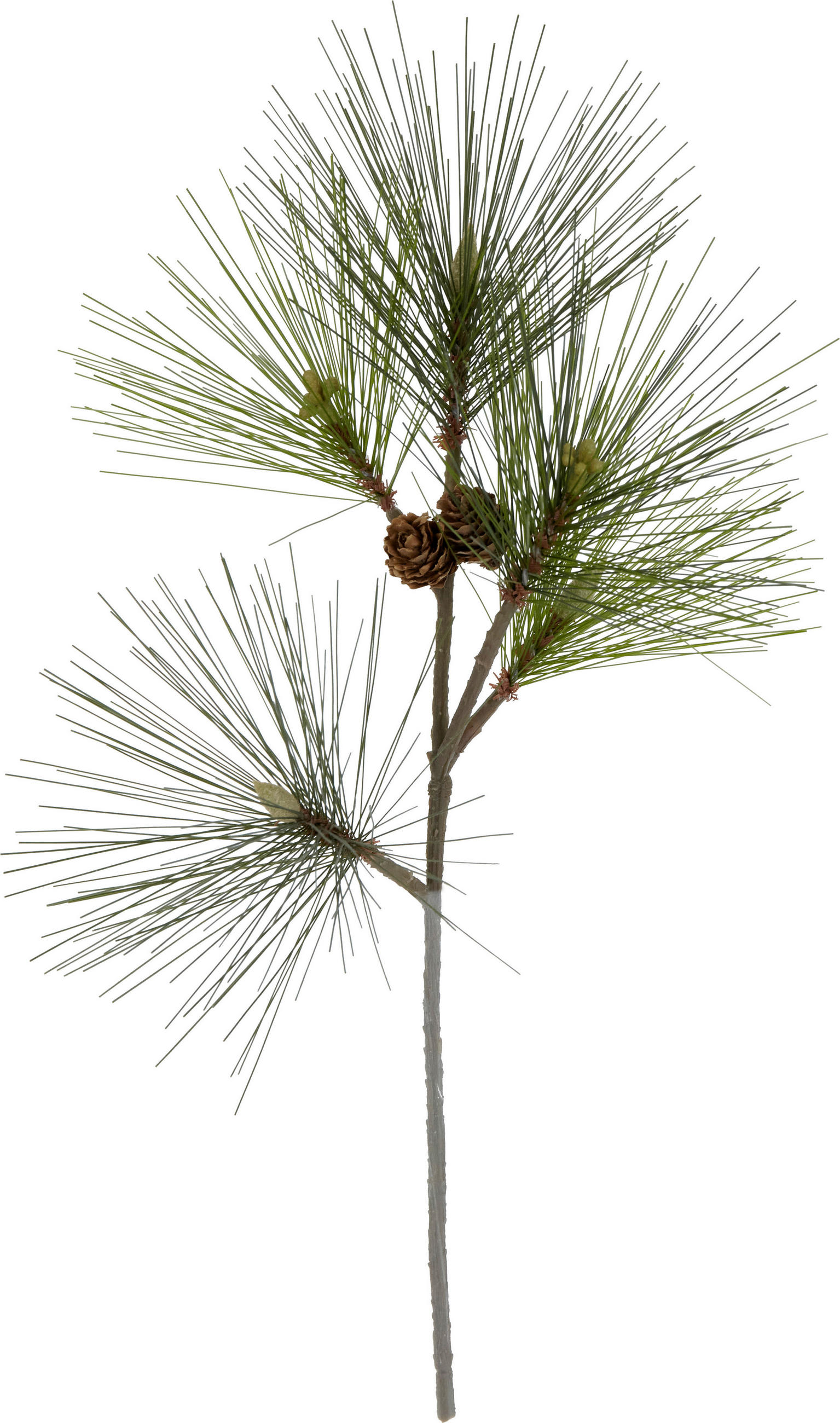 KUNSTPFLANZE - Braun/Grasgrün, LIFESTYLE, Kunststoff (38cm)