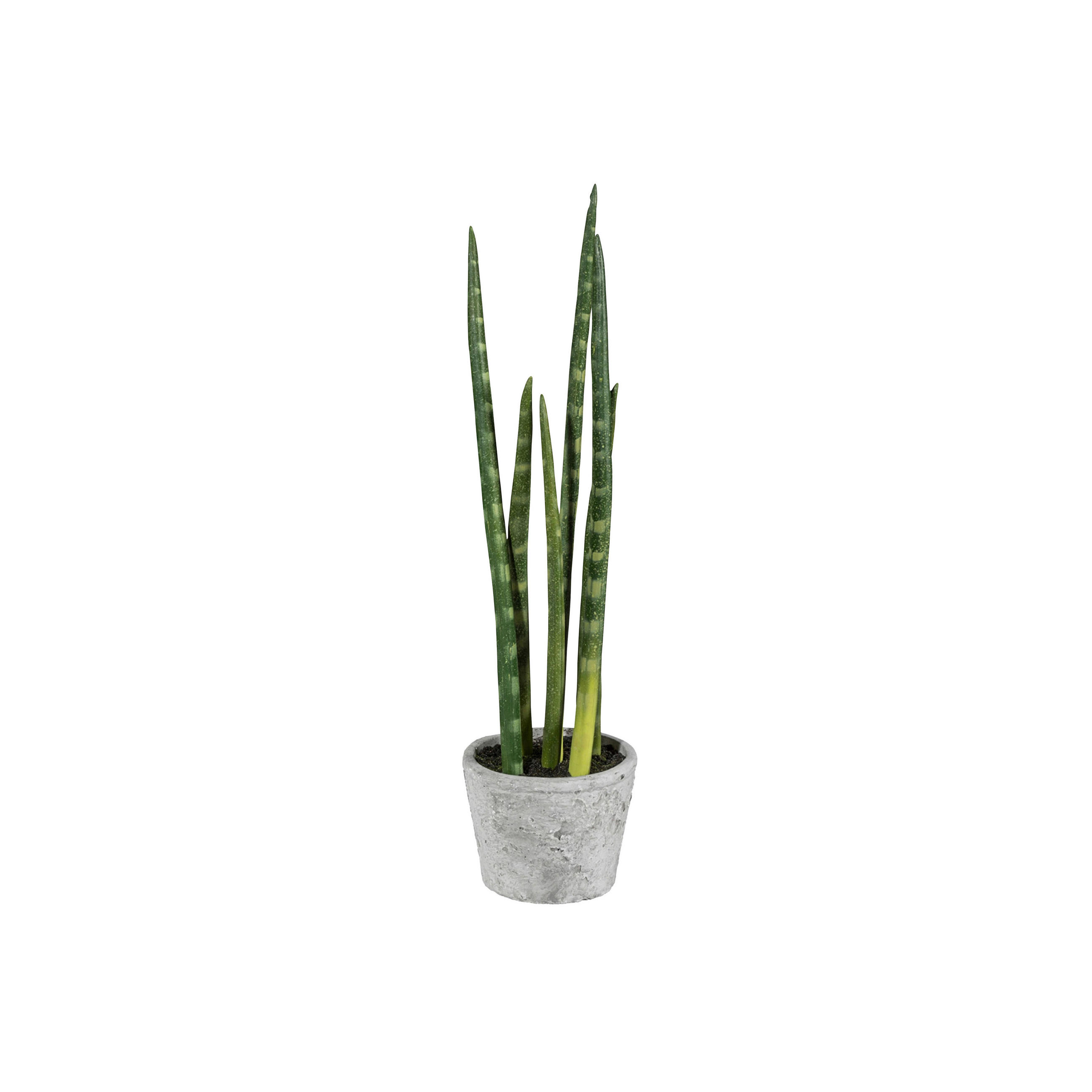 KUNSTPFLANZE 40 cm  - Gelb/Grau, Design, Keramik/Kunststoff (40cm) - P & B