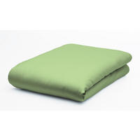 PLAHTA S GUMICOM 150/200 cm  ELASTO COMFORT  - svijetlo zelena, Konvencionalno, tekstil (150/200cm) - Fleuresse