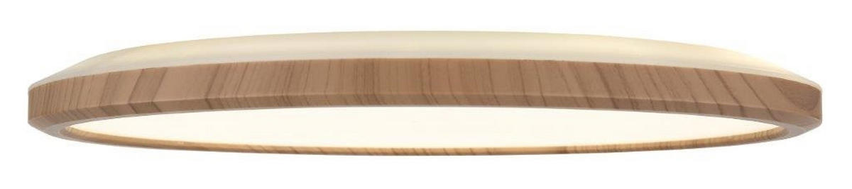 LED PLAFONJERA ZA KUPATILA - bela/opal, Prirodno, plastika (29,4/2,5cm)