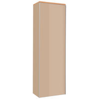 GARDEROBENSCHRANK  in 54/170/31 cm  - Eichefarben/Silberfarben, Design, Glas/Holz (54/170/31cm)