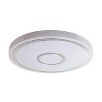 LED MENNYEZETI LÁMPA - fehér, Basics, műanyag/fém (48cm)