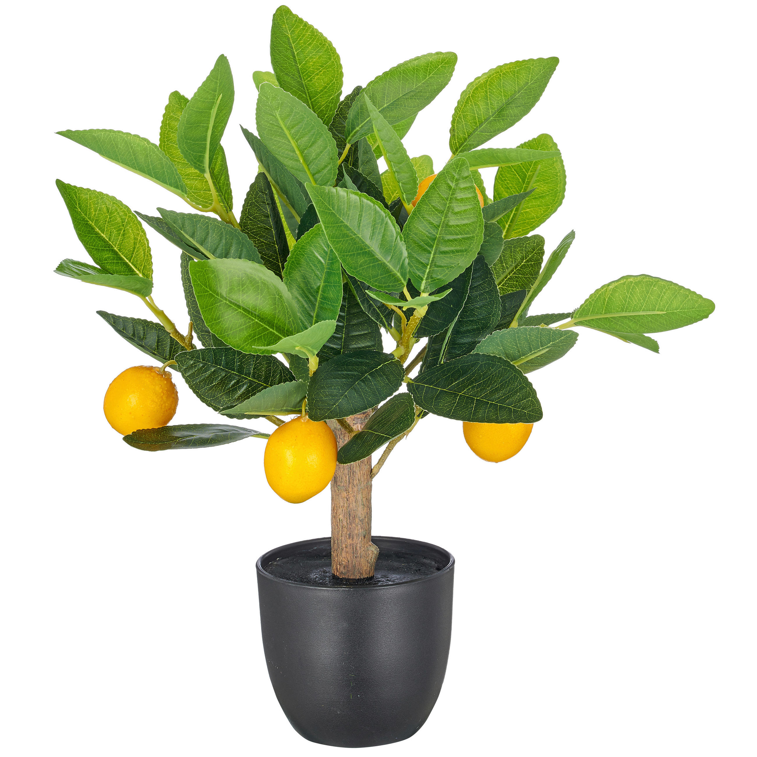 KUNSTPFLANZE 33 cm  - Schwarz/Braun, Basics, Kunststoff (33cm)