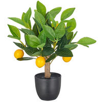 KUNSTPFLANZE 33 cm  - Schwarz/Braun, Basics, Kunststoff (33cm)