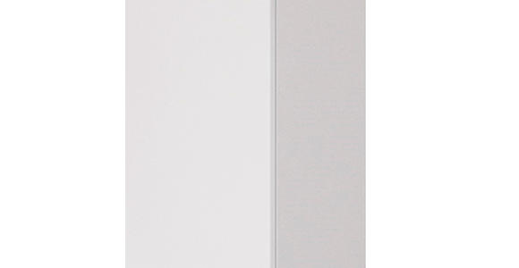 HOCHSCHRANK 40/180/35 cm  - Edelstahlfarben/Silberfarben, KONVENTIONELL, Holzwerkstoff/Kunststoff (40/180/35cm) - Xora