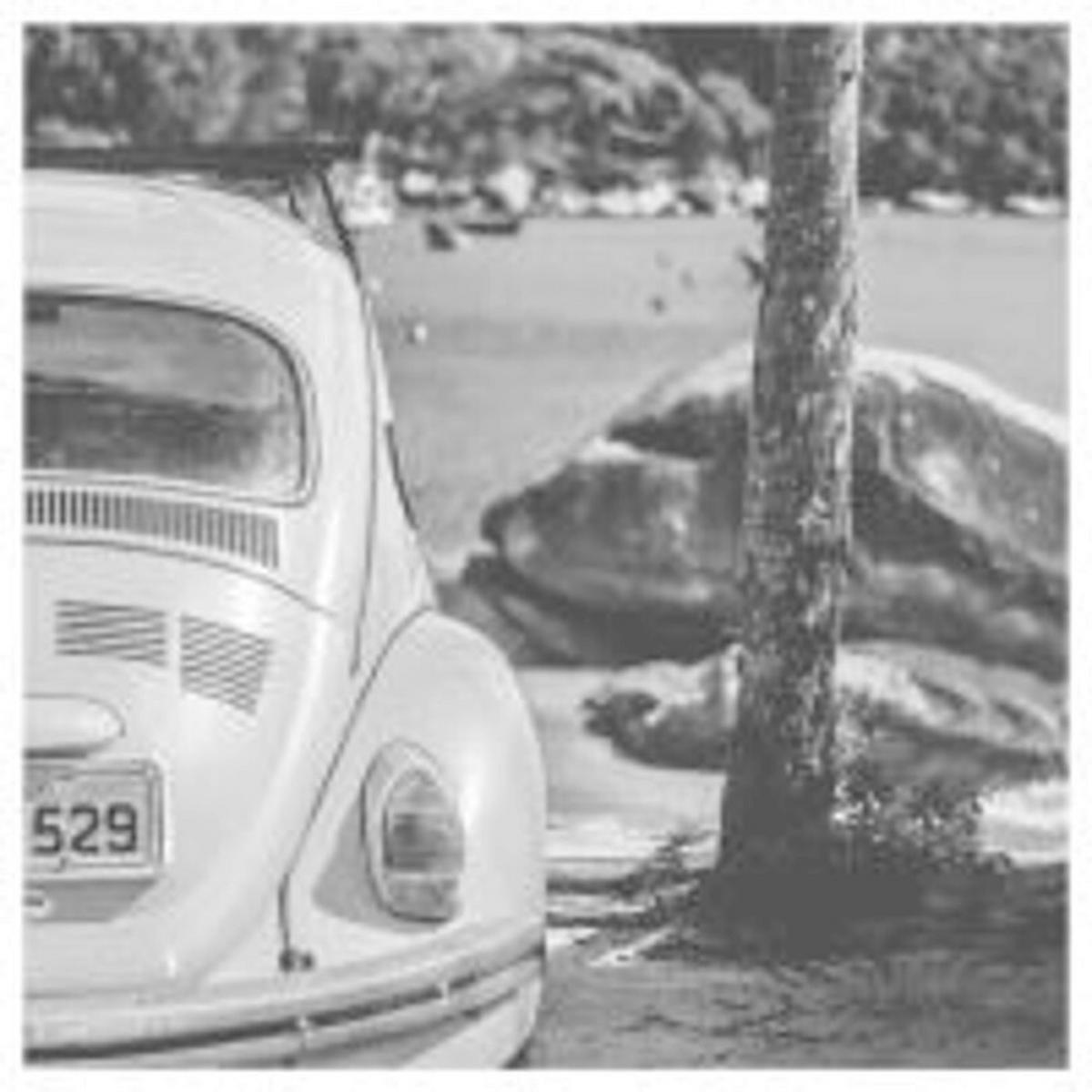 STEKLENA SLIKA    - črna/bela, Basics, steklo (80/80/1,5cm)