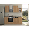 KÜCHENBLOCK 220 cm   in Buchefarben  - Edelstahlfarben/Beige, MODERN, Glas/Holzwerkstoff (220cm) - FlexWell