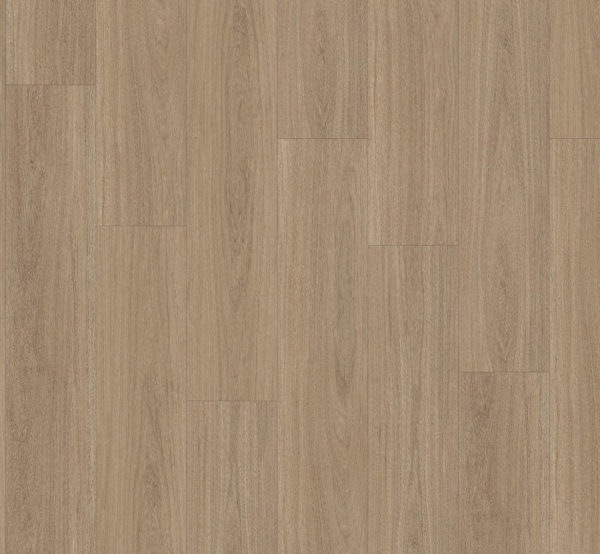 VINYLBODEN Vinyl Basic 5.3  per  m² - Eichefarben, Basics, Kunststoff (120.9/22.5/0.53cm) - Parador
