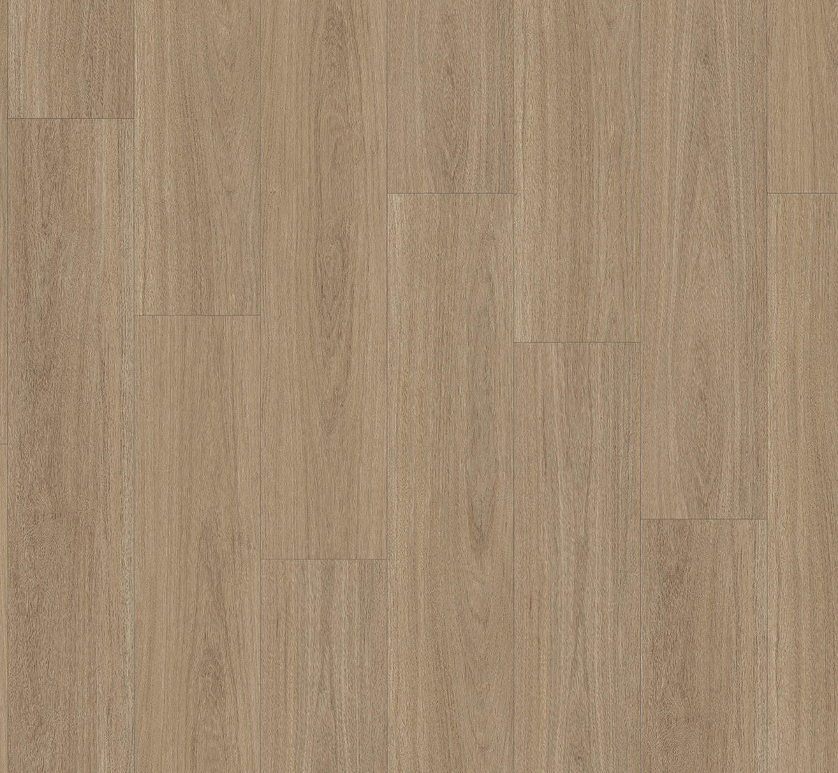 VINYLBODEN Vinyl Basic 5.3  per  m² - Eichefarben, Basics, Kunststoff (120.9/22.5/0.53cm) - Parador
