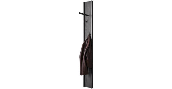 GARDEROBENPANEEL in 20/174/6 cm - Anthrazit, Design, Holz/Metall (20/174/6cm) - Johann Jakob