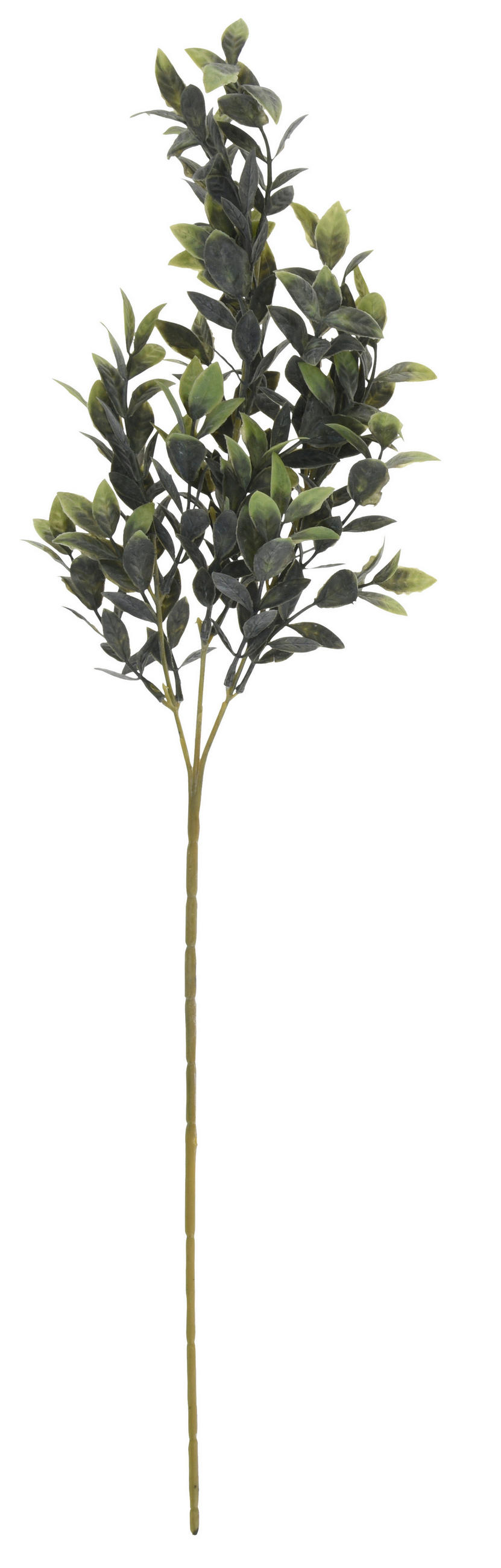 RAMURĂ DECORATIVĂ - verde, Basics, plastic (66cm)