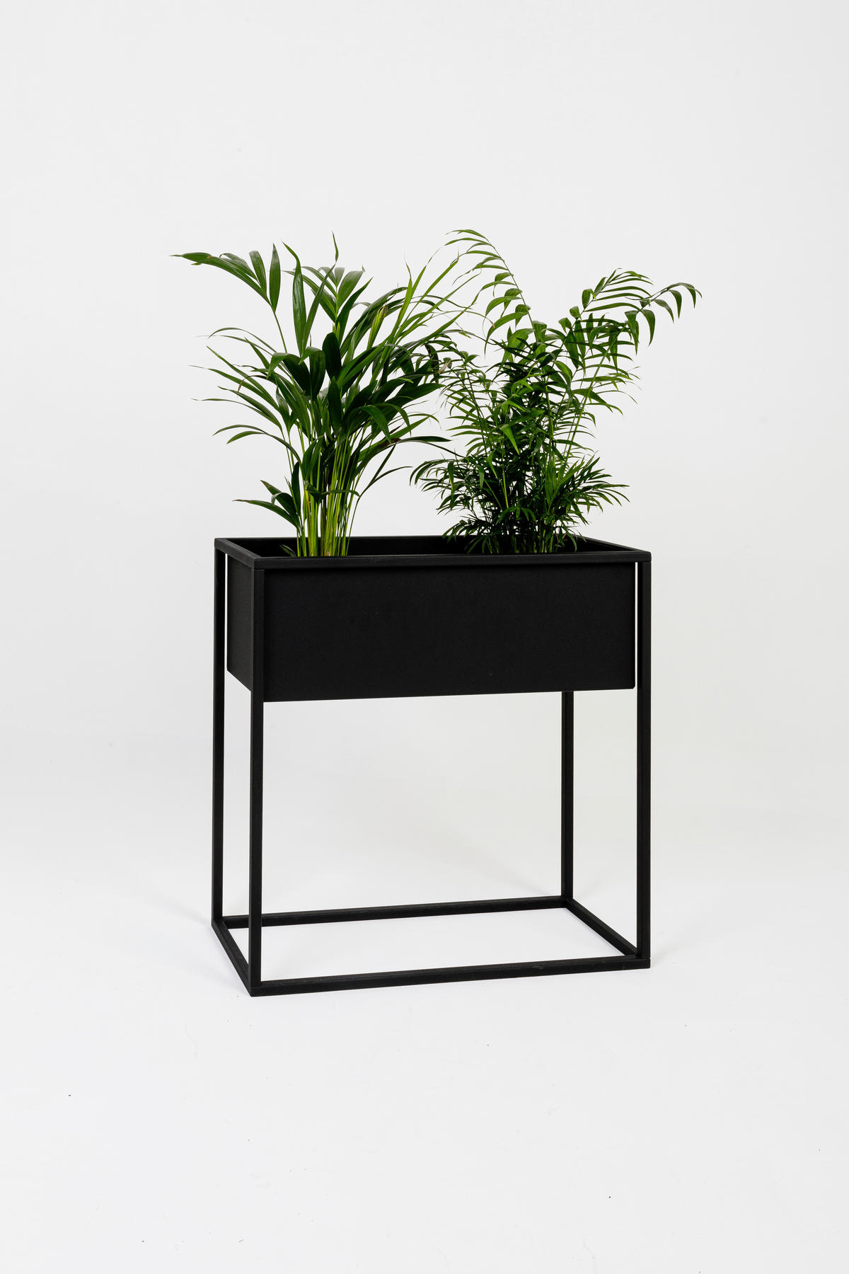 BLUMENSTÄNDER Metall  - Basics, Metall (60/23/60cm)