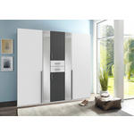 KLEIDERSCHRANK  in Graphitfarben, Weiß  - Alufarben/Graphitfarben, KONVENTIONELL, Glas/Holzwerkstoff (225/208/58cm) - Carryhome