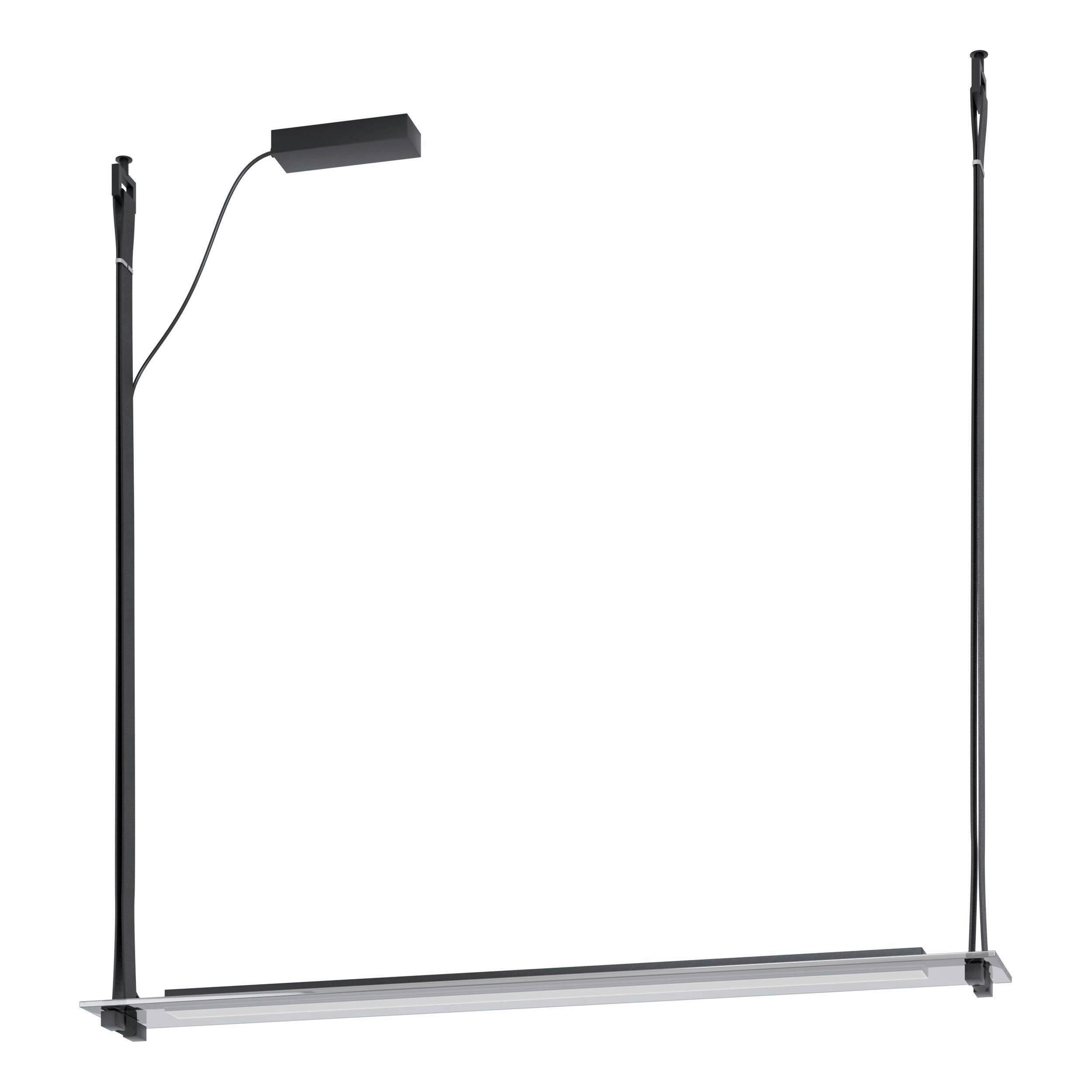 LED-HÄNGELEUCHTE 116/16/116 cm    - Schwarz, Design, Glas/Metall (116/16/116cm) - Eglo