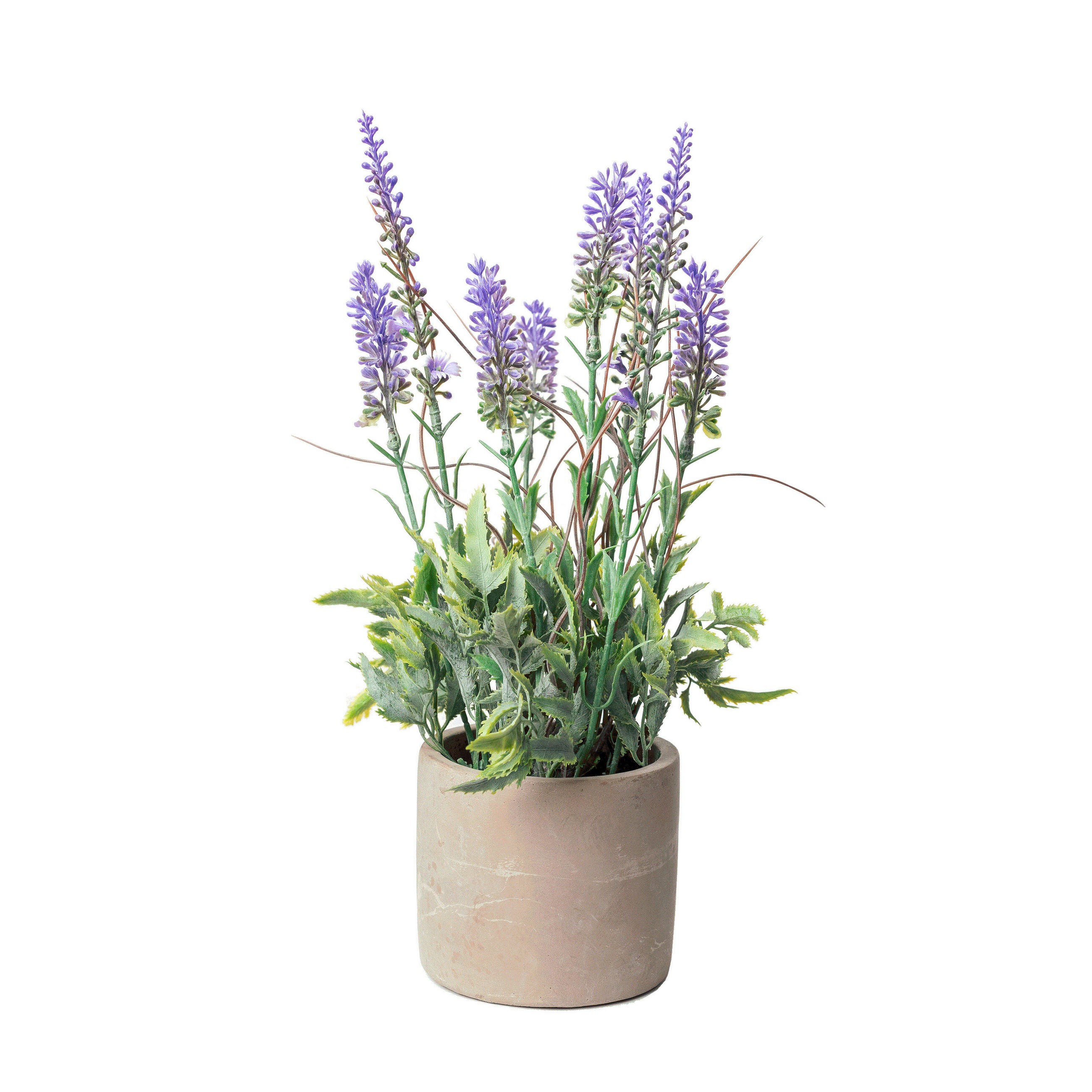 LAVENDEL  - Lila/Grün, Basics, Kunststoff (30cm)