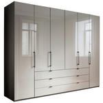 KLEIDERSCHRANK  in Grau  - Schieferfarben/Grau, Design, Glas/Holzwerkstoff (300/216/58cm) - Novel
