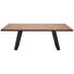 JÍDELNÍ STŮL, dýhované, modřín, barvy modřínu - černá/barvy modřínu, Design, kov/dřevo (220/110/77cm) - Dieter Knoll JÍDELNÍ STŮL, dýhované, modřín, barvy modřínu - černá/barvy modřínu, Design, kov/dřevo (220/110/77cm) - Dieter Knoll