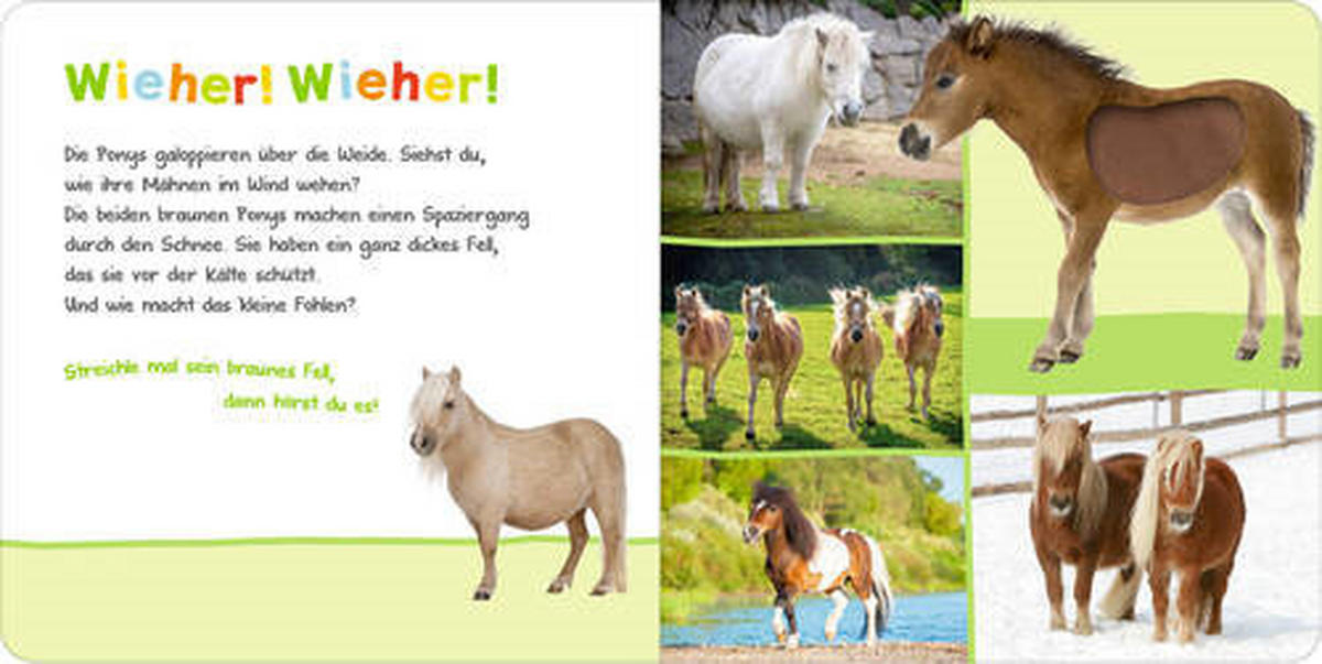 SOUND- UND FÜHLBUCH  - Basics (19,7/19,7/1,8cm) - Carlsen