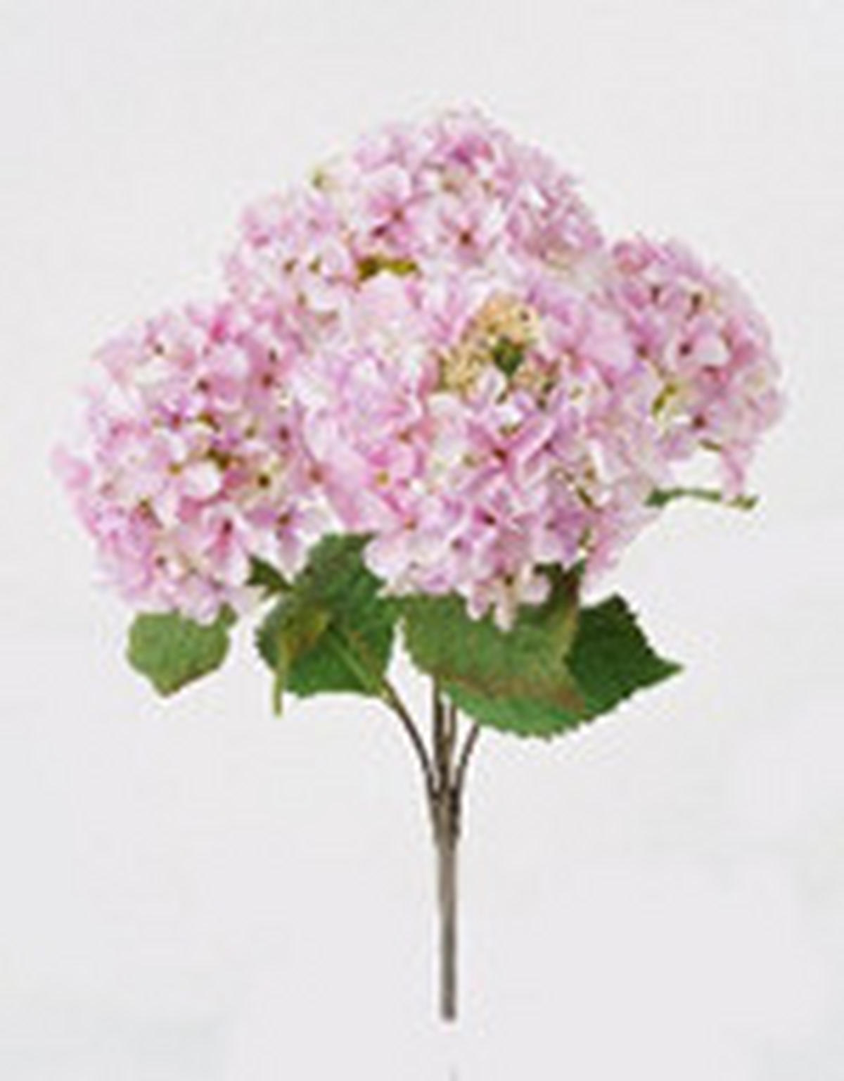 MŰNÖVÉNY - világos rózsaszín/barna, Basics, műanyag