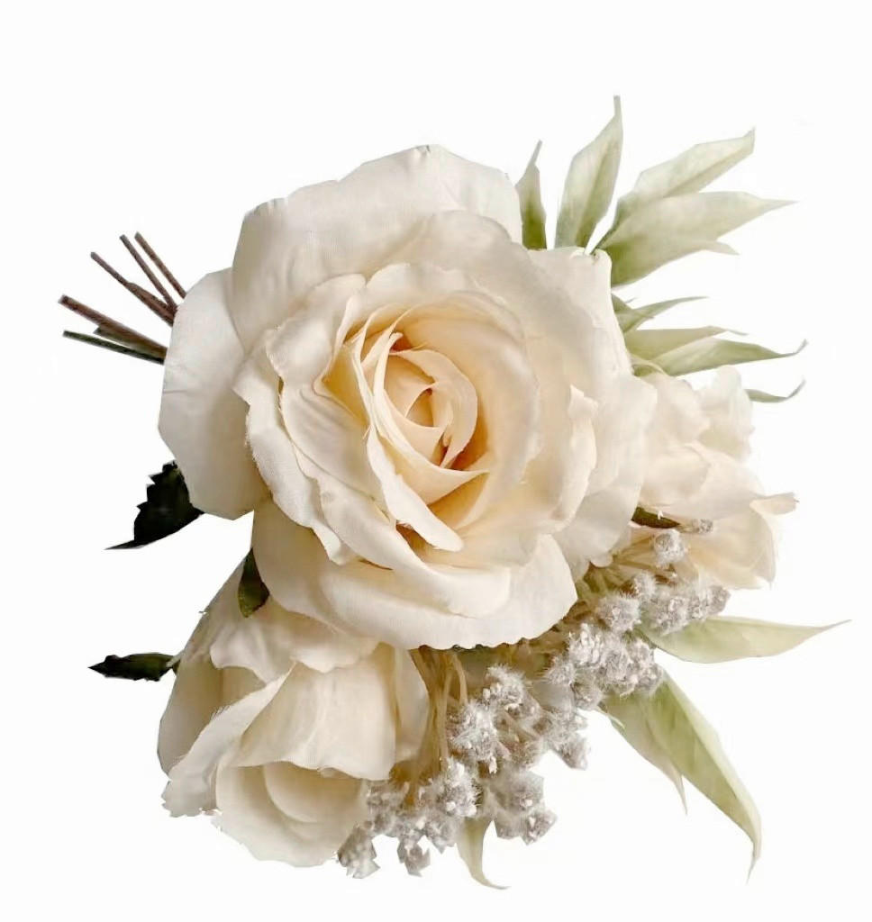 ROSENBUSCH  - Creme, Basics (28cm)