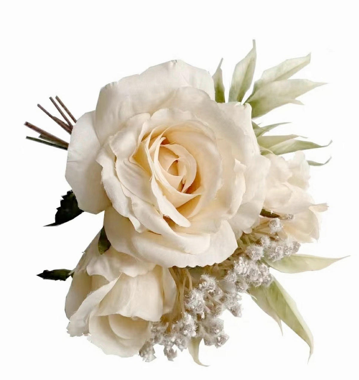 ROSENBUSCH  - Creme, Basics (28cm)