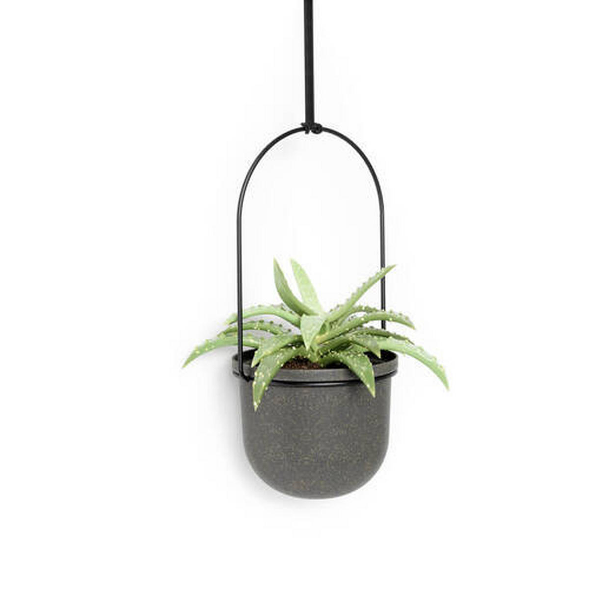 WAND-PFLANZTOPFSET   - Schwarz, Basics, Kunststoff/Metall (18/94/137cm) - Umbra