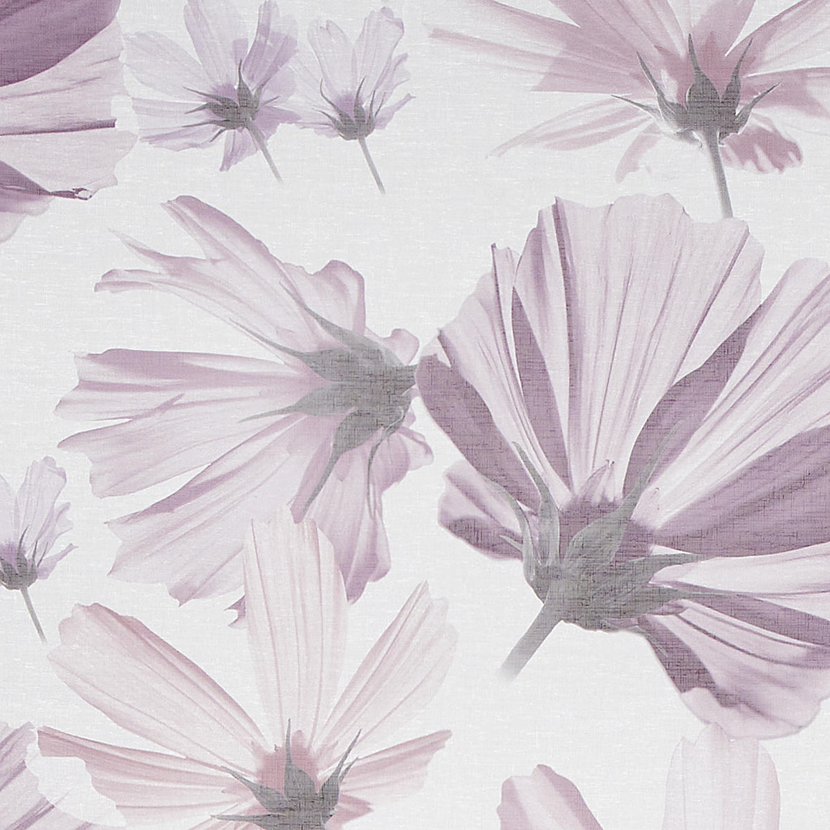 FLÄCHENVORHANG   halbtransparent  60/245 cm   - Flieder, Basics, Textil (60/245cm) - Ambiente