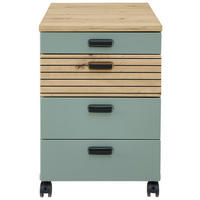 ROLLCONTAINER 45/66/55 cm  - Schilfgrün/Schwarz, KONVENTIONELL, Holzwerkstoff/Kunststoff (45/66/55cm) - Stylife