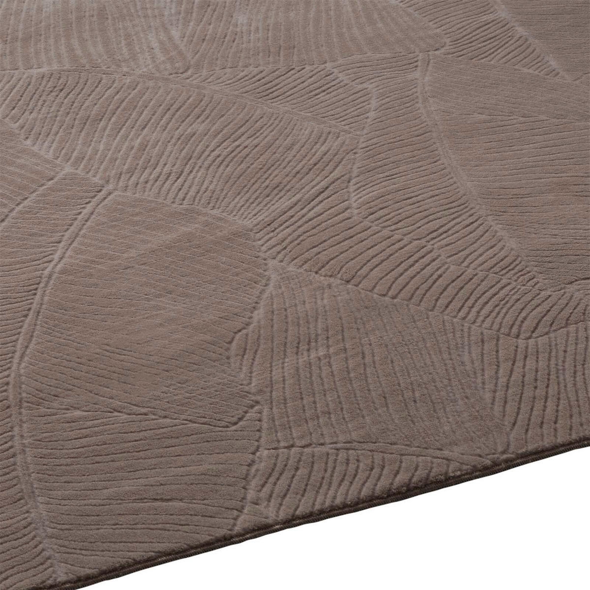 HOCHFLORTEPPICH 120/170 cm Stilo Taupe  - Taupe, Design, Textil (120/170cm) - Novel