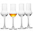 SCHNAPSGLAS - Klar, Basics, Glas (17.7cm)