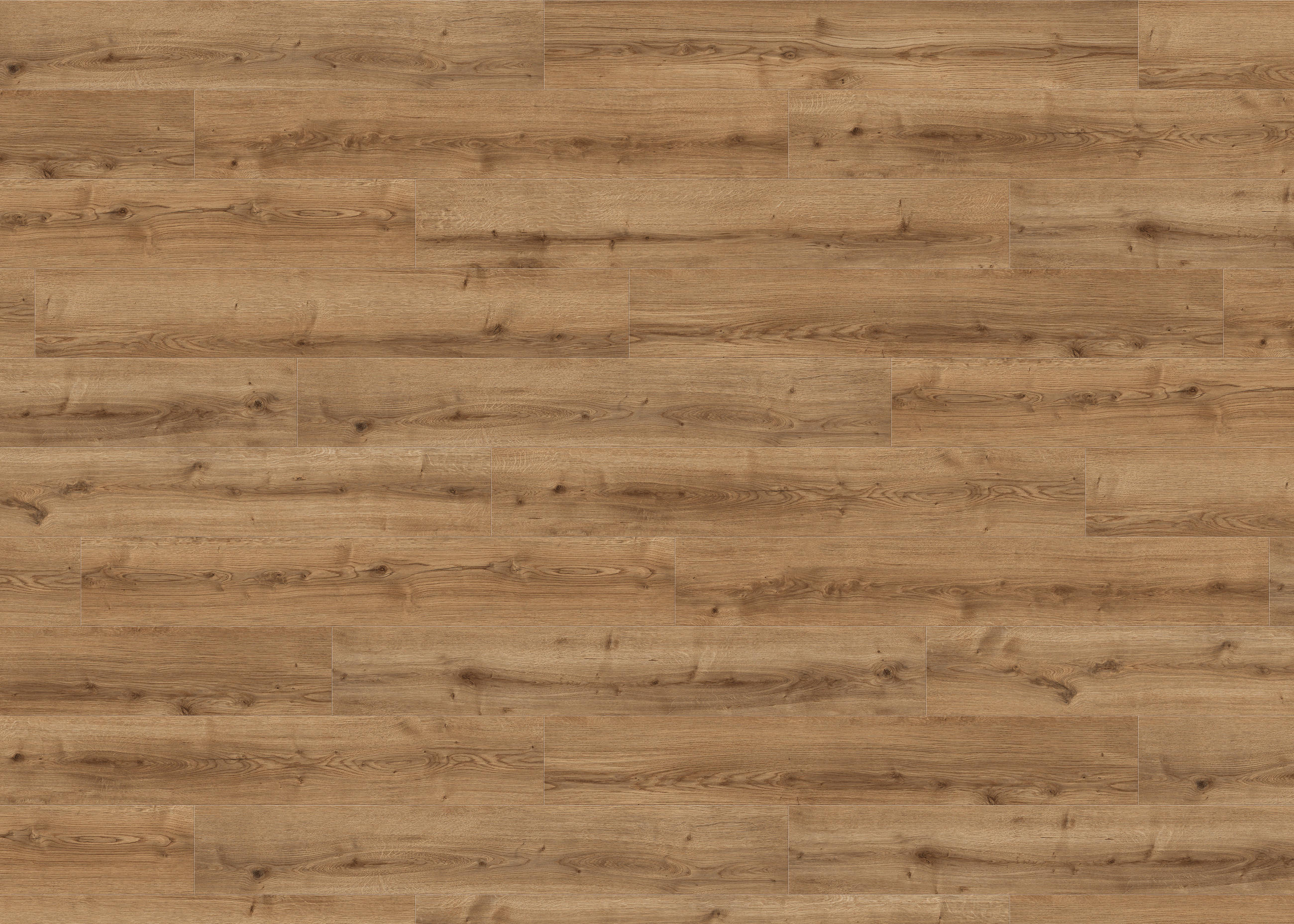 DESIGNBODEN Living by HARO Designboden PowerStar  per  m² - Eichefarben, Basics, Holzwerkstoff (19.3/128.2cm) - Living by HARO