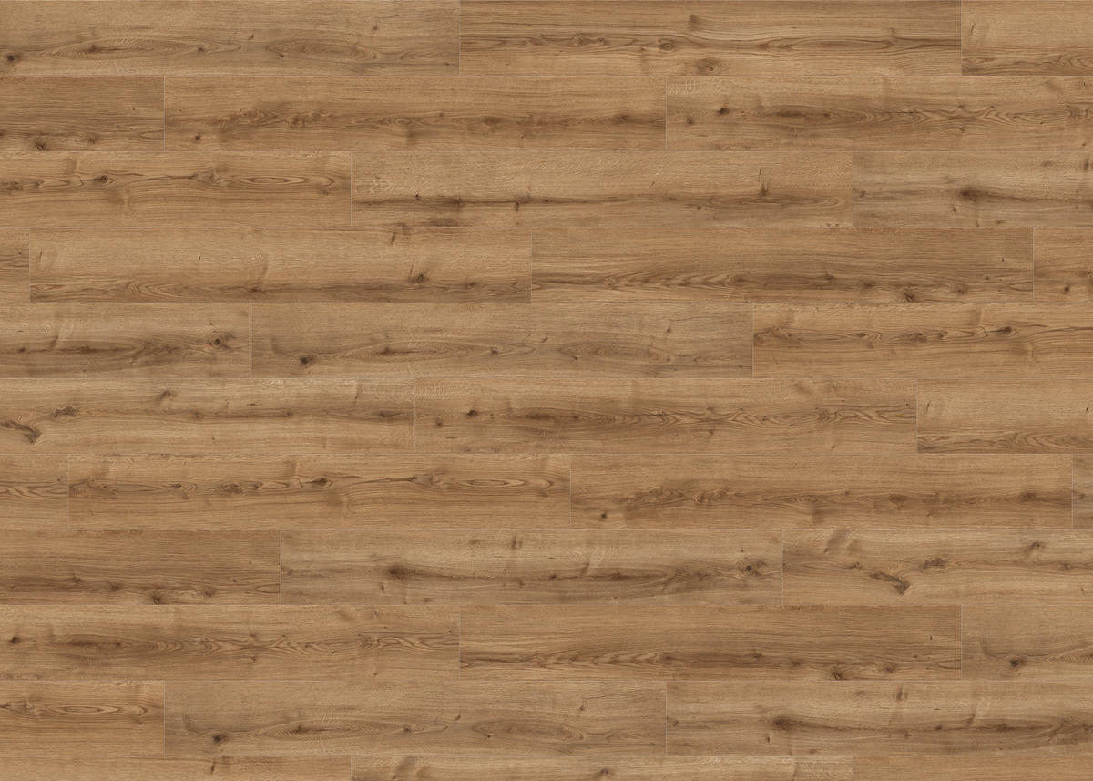 DESIGNBODEN Living by HARO Designboden PowerStar  per  m² - Eichefarben, Basics, Holzwerkstoff (19.3/128.2cm) - Living by HARO