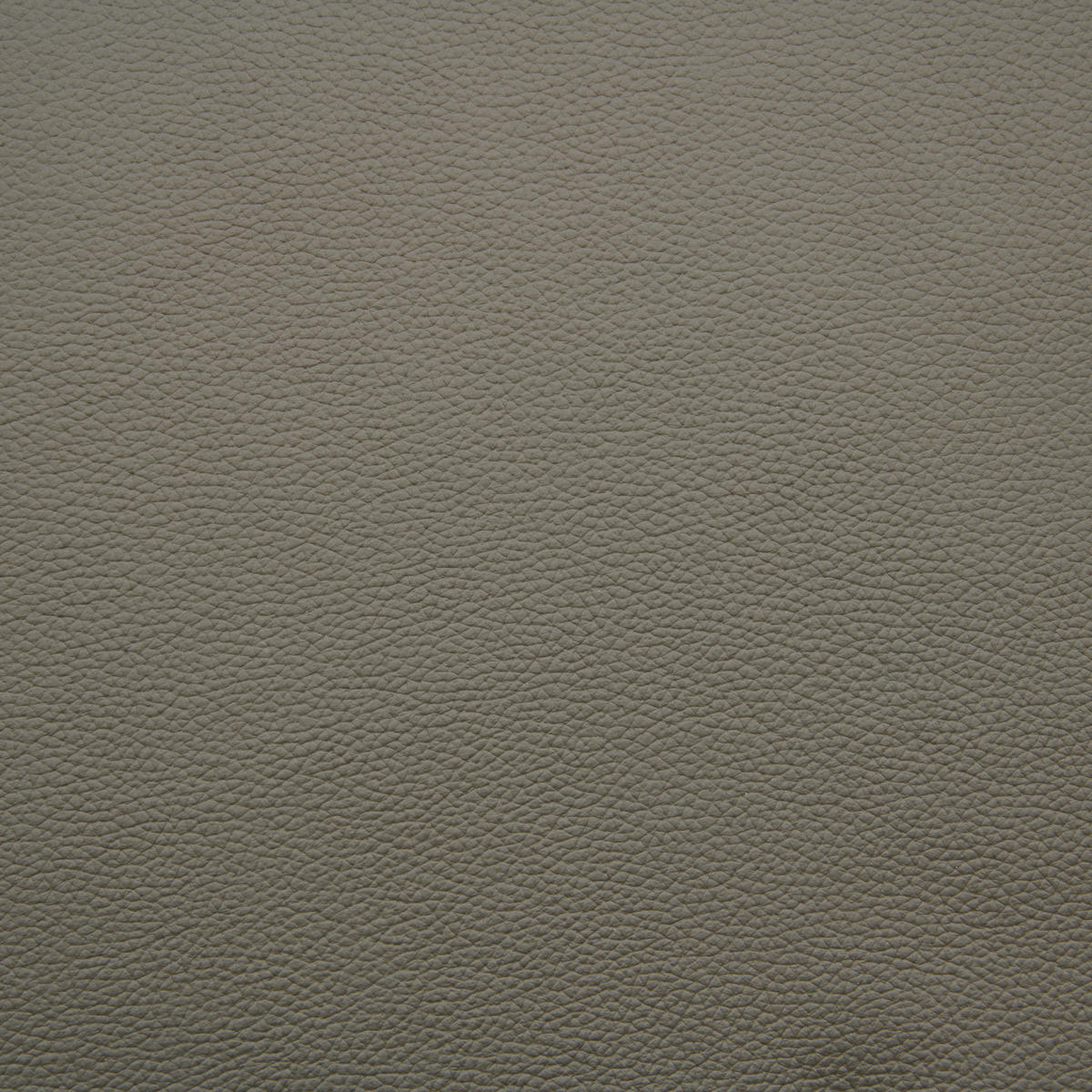 STUHL Echtleder Anthrazit  - Anthrazit/Walnussfarben, MODERN, Leder (47,5/87/57,5cm) - Livetastic