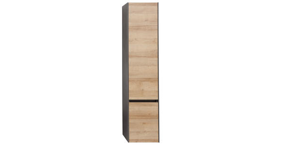 HOCHSCHRANK 37/168/33 cm  - Dunkelgrau/Eichefarben, Design, Glas/Holzwerkstoff (37/168/33cm) - Dieter Knoll