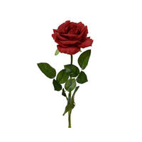 RUŽA  - Basics (13,00/13,00/59,00cm)