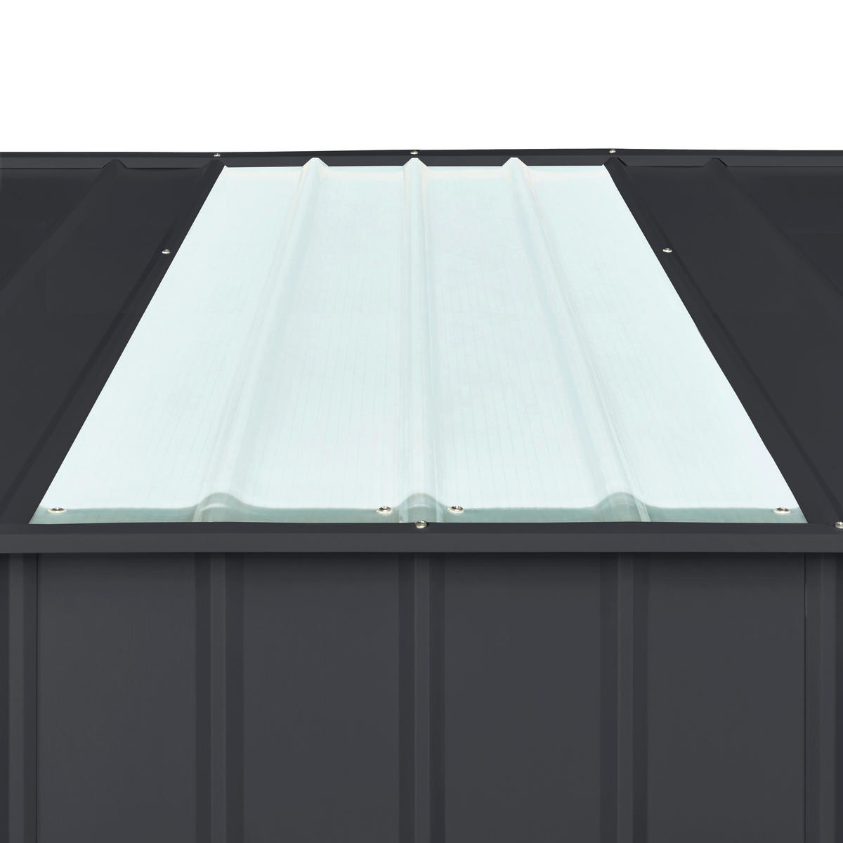 FENSTERLICHTPANEEL  - Transparent, Basics, Kunststoff (65,5/123cm)