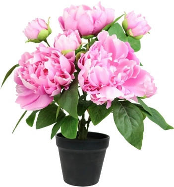 PFINGSTROSE  - Rosa/Grün, Basics, Kunststoff/Textil (31/40/25cm)