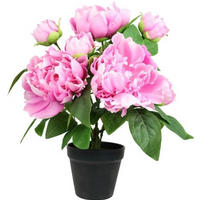 PFINGSTROSE  - Rosa/Grün, Basics, Kunststoff/Textil (31/40/25cm)