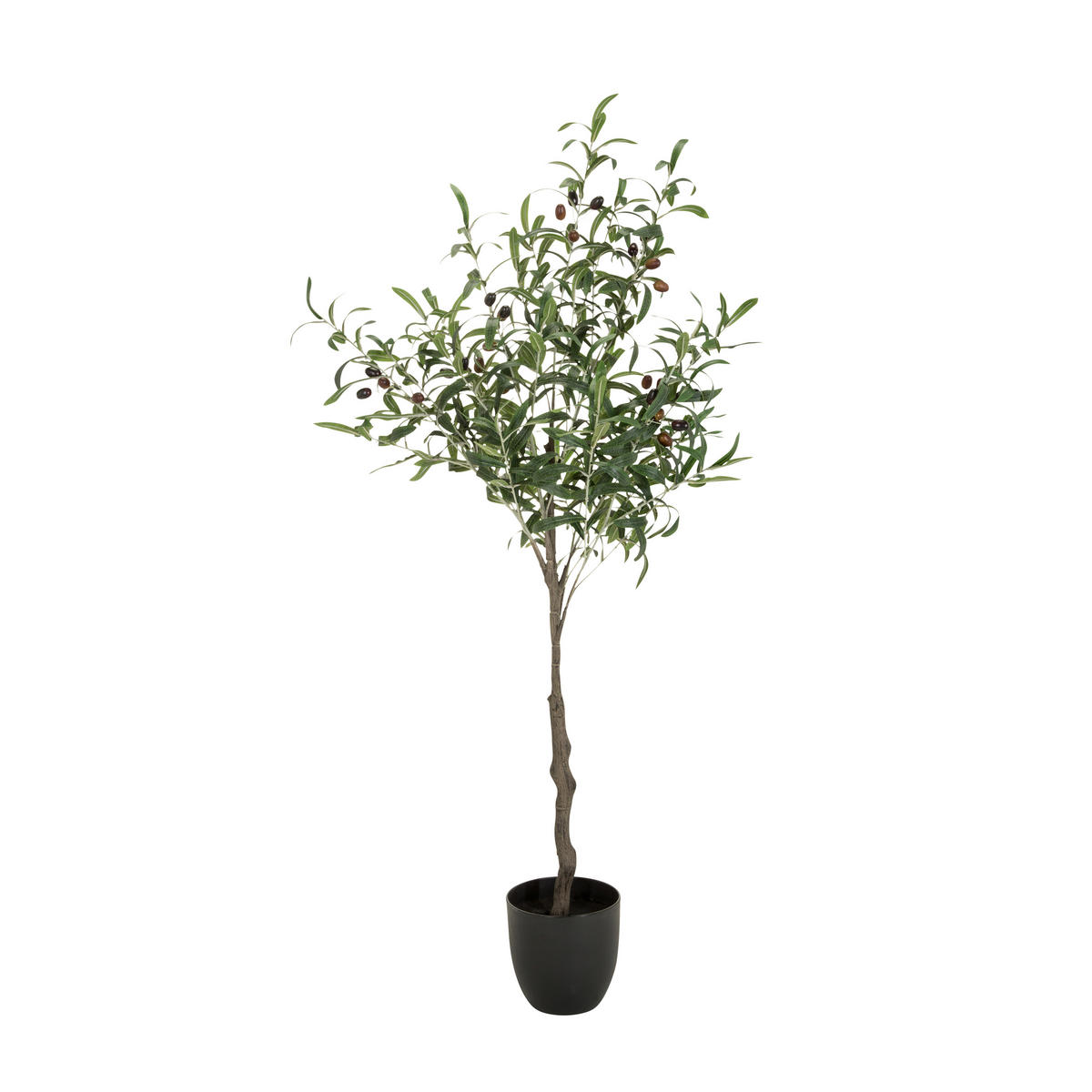KUNSTPFLANZE Olive  - Schwarz/Braun, Basics, Kunststoff (45/120/45cm) - MID.YOU