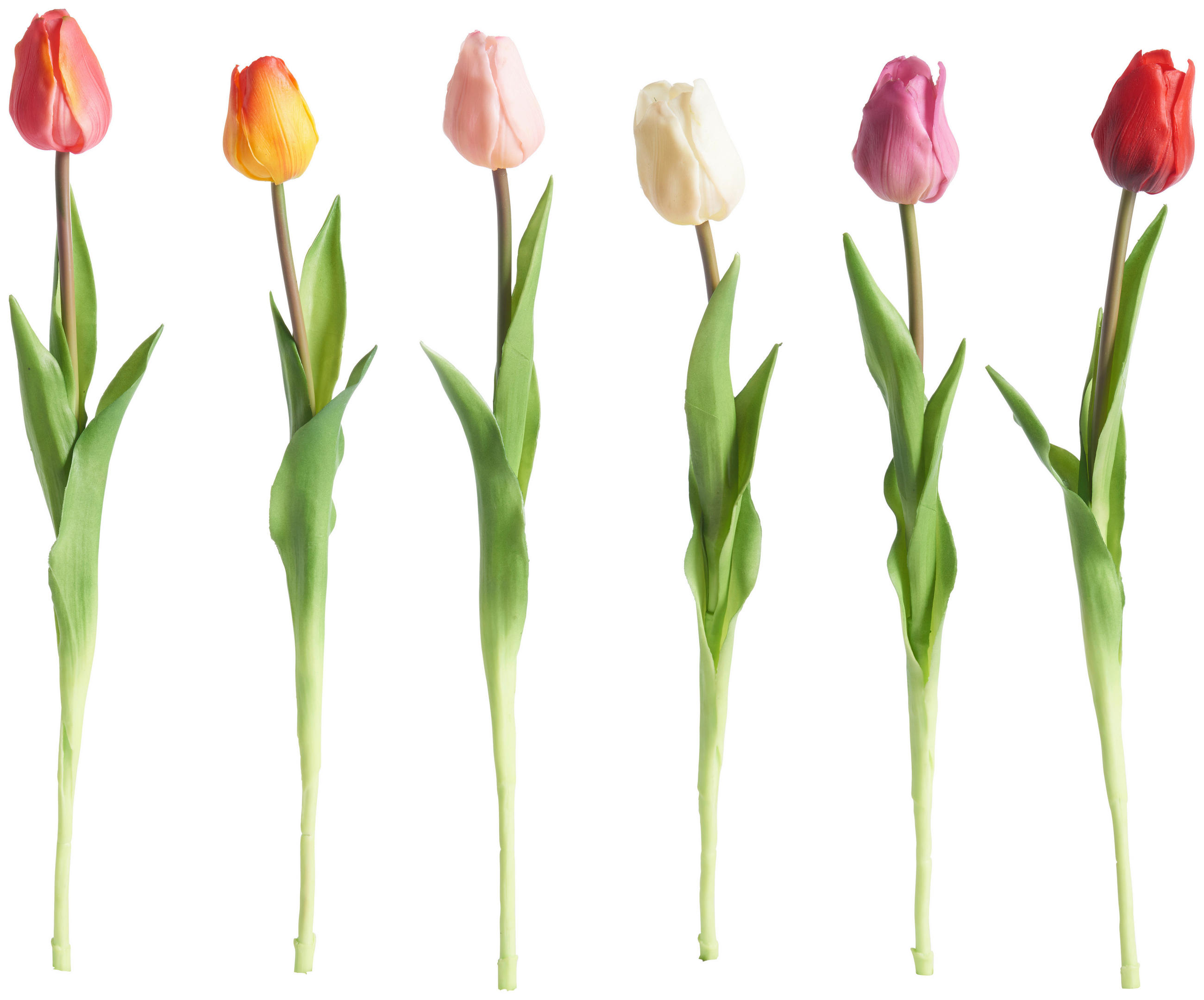 TULIPAN - lila/roza, Trendi, kovina/umetna masa (45cm)