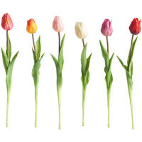 TULIPAN - lila/roza, Trendi, kovina/umetna masa (45cm)