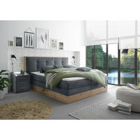 PAT BOXSPRING 180/200 cm  antracit  - antracit, Modern, plastic/lemn (180/200cm) - Livetastic