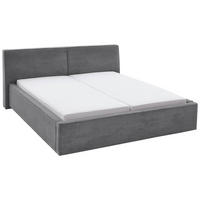 POLSTERBETT 160/200 cm  Grau  - Birkefarben/Buchefarben, Design, Holz/Textil (160/200cm) - Boxxx