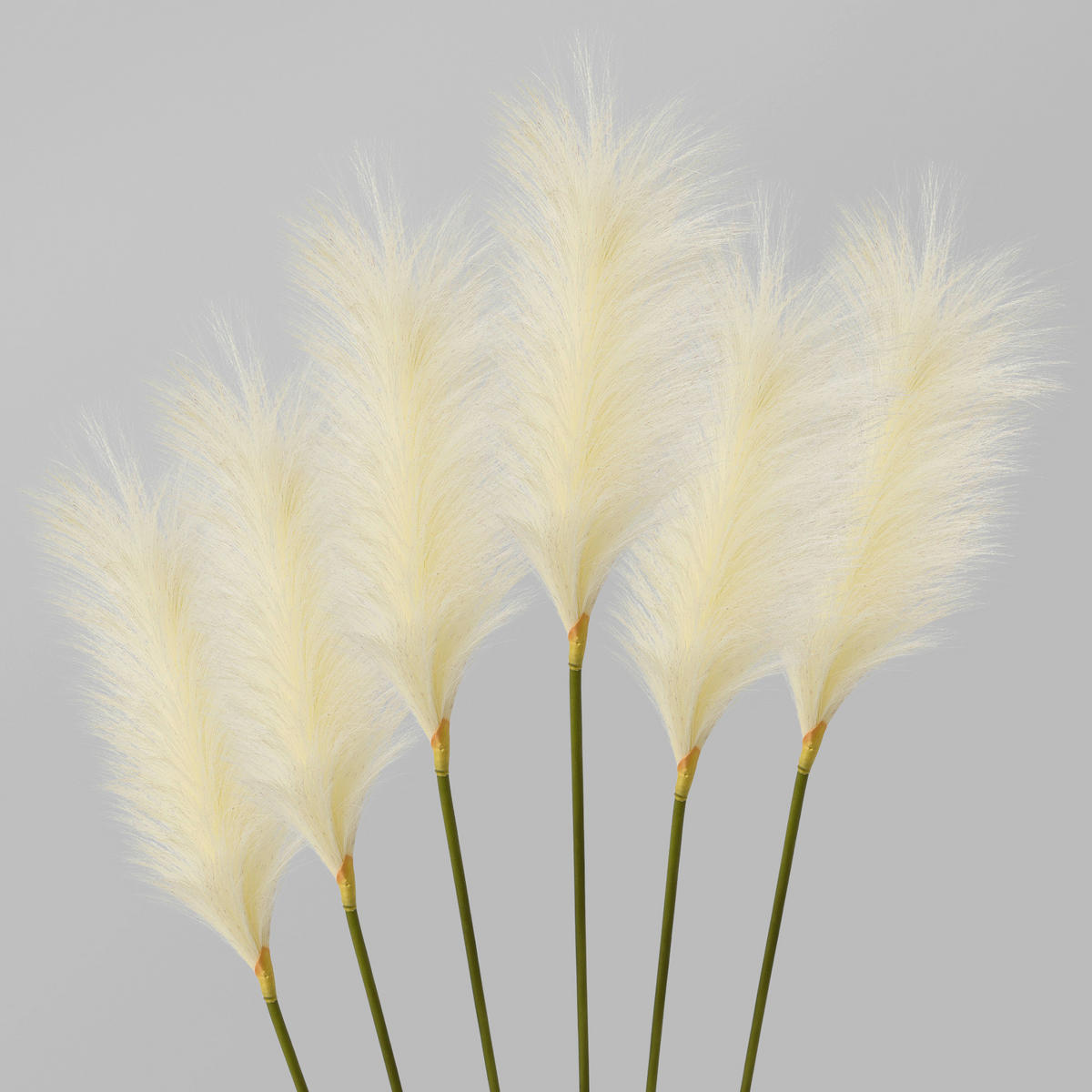 KUNSTPFLANZE 100 cm  - Weiß/Grün, Basics, Kunststoff (100cm) - P & B